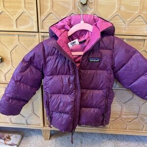 Patagonia Hi Loft Toddler Coat
